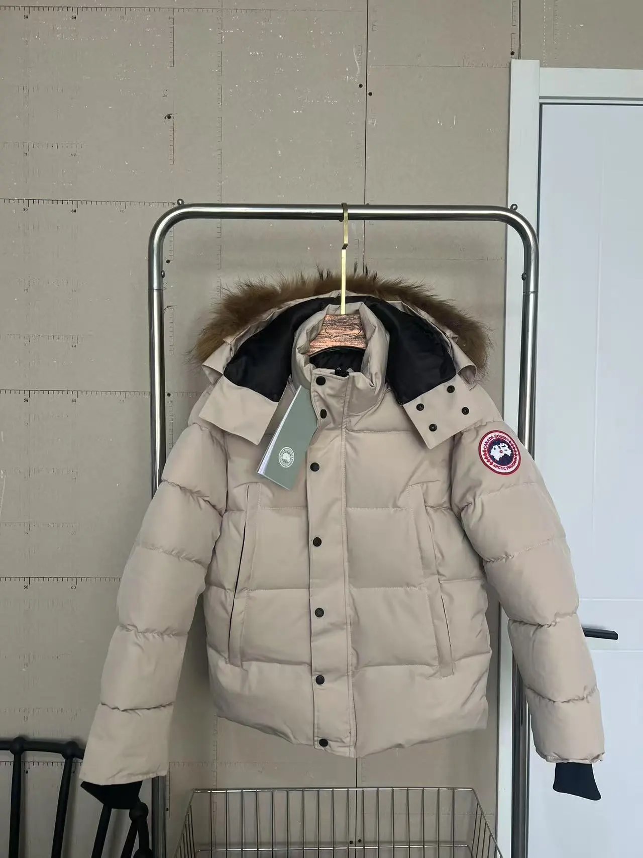 Grey white, red label, brown fur collar